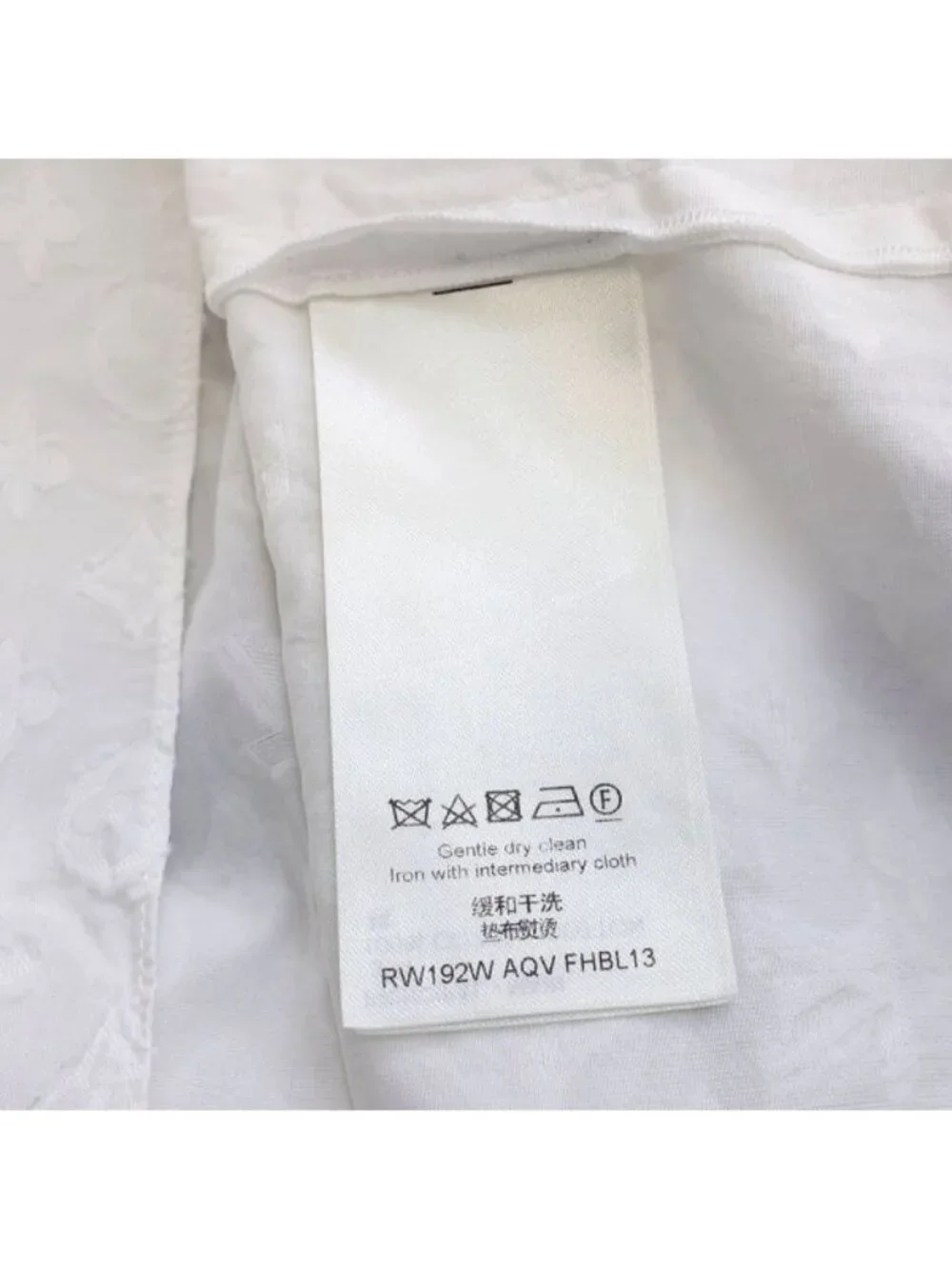 Louis Vuitton brand louis